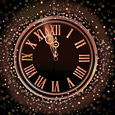 С Новым 2011-м годом! С Новым 2011-м годом!